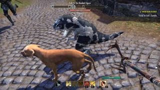 Guar and Dog Bffs