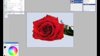 Transparent Backgrounds made easy using free image sofware paint.net