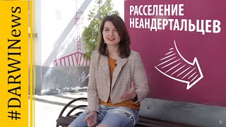 Новости о расселении неандертальцев. Елена Сударикова 