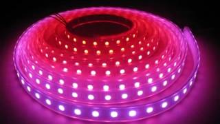 Addressable Flexible WS2811 LED Ribbon