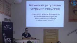 «Основные ошибки при проведении инсулиновой терапии». М. М. Беленсон