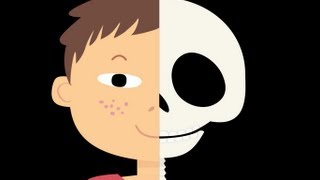 This is my body - Anatomy for kids OSX app by urbn pockets