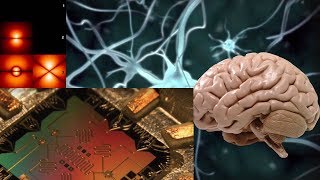Квантовые компьютеры и мозг  Часть 1 - Илья Мартынов