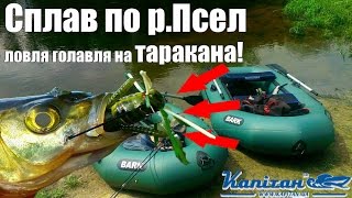 Сплавная рыбалка с лодки по Пслу. Ловля голавля на "таракана" и окуня на воблеры. #Тараканинг рулит!