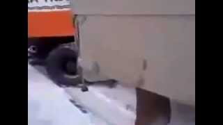 crazy car crash