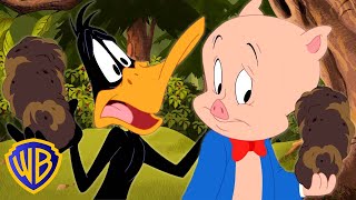 Looney Tunes en Latino | A Lucas le encanta la trufa | WB Kids