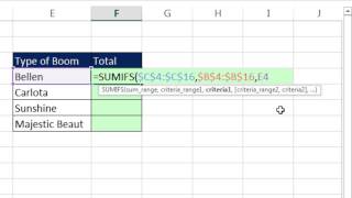 Excel Magic Trick 1237: Add with "Contains Criteria" or Partial Text Criteria: SUMIFS & Wildcard