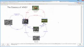 Systems Thinking Demystified Preview