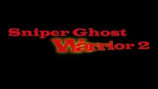 Как поиграть по сети в Sniper Ghost Warrior 2 (на пиратке)