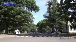 Colors of HOKUDAI for a year ～北大の四季～ 制作：北海道大学CoSTEP