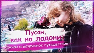 Корея VLOG: Деревня Камчон и Busan Air Cruise | Чем заняться в Пусане | ToRi MaRtini