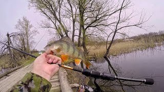 Рыбалка на окуня весной .Спокойная ловля окуней на микроджиг и поплавок.