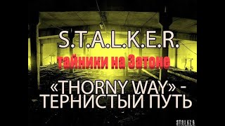тайники на Затоне, S.T.A.L.K.E.R. Тернистый путь