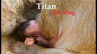 Socking heart ..!! Tara Torture Newborn Baby Titan So so Hard Cos Tara Weaning Milk To Titan