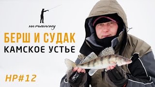 Ловля берша и судака в Камском Устье: НР#12