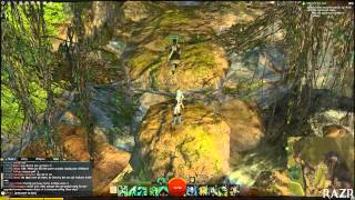 Orvanic Shore Vista