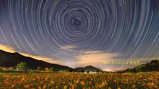 황화코스모스별일주Time Lapse