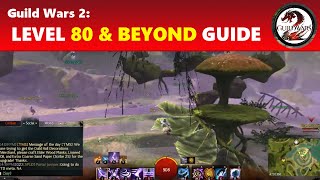 Guild Wars 2: Level 80 & Beyond Guide │ What to Do & Goals to Have