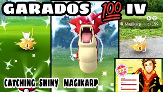 Catch gyarados with 100% iv in pokemon go || catch shiny magikarp in lunar event pokemon go.