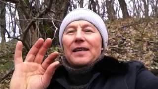 Нельзя жрать конфет, тортов, мороженого. Школа Ладо 939