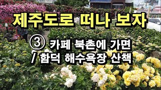 [제주도 휴식여행] ③ 카페-북촌에 가면 / 함덕해수욕장 산책