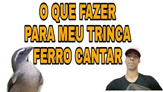 Meu trinca ferro não canta o que fazer.