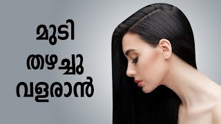 മുടി തഴച്ചു വളരാൻ വെളിച്ചണ്ണയും നാരങ്ങയും | Grow Hair Naturally | Healthy Kerala
