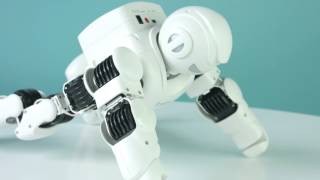 Распаковываем робота Alpha1 Pro UBTech