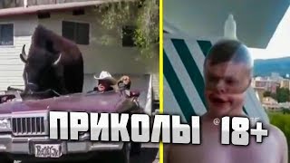 #ПРИКОЛЫ за Июнь 2019 | BEST COUB 2018 ▶ 13
