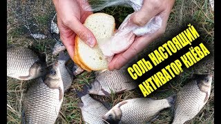 НЕМЕРЕНО КАРАСЕЙ НА СОЛЬ! АКТИВАТОР КЛЁВА ЕСТЬ В КАЖДОМ ДОМЕ, РЕАКЦИЯ РЫБЫ НА РОЗОВУЮ СОЛЬ!