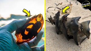 10 Bentuk Telur Hewan Yang Jarang Diketahui