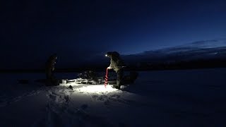 ДЕРЕВЕНСКИЕ ПРОТИВ ГОРОДСКИХ\ РЫБАЛКА НА ЖЕРЛИЦЫ\ ОЗЕРО, ТАЙГА, ЩУКА\ РЫБАЛКА 2020!!