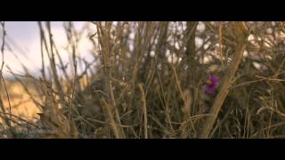 Canon T2i RAW Video