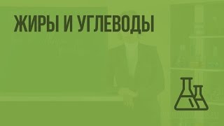 Жиры и углеводы. Видеоурок по химии 9 класс