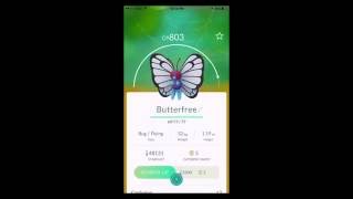 Caterpie Evolution - Pokemon Go - Butterfree