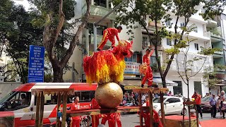 Múa Lân Sư Rồng - Hằng Anh Đường Múa Sư Tết 2020 | Long Shi | Lion Dance Dragon Dance