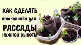 Как сделать стаканчик для рассады нужной высоты