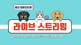 ㅣ190403 LIVEㅣ오랜만에 만나는 일이삼호+사호!