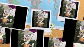 Альбом зайчиков из морских ракушек. Поделки своими руками. Сrafts from shells