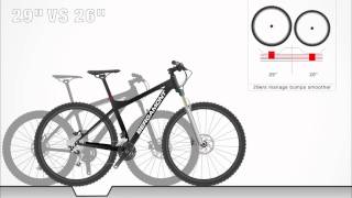 Animation 29" vs. 26" Mountainbike