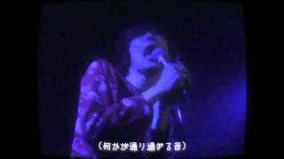 ペルシアンズ【2016.2.29@新宿紅布】