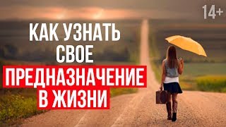 Как найти свое предназначение? 3 препятствия на пути к своему призванию 14+