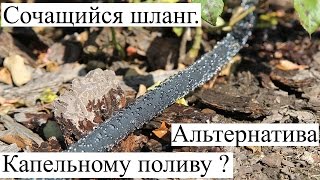 Сочащийся шланг - альтернатива Капельному поливу. Попробуйте Сочащийся шланг от Presto-PS.