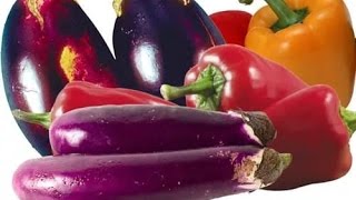 ПОСЕВ ПЕРЦА И БАКЛАЖАНА БЕЗ ЗЕМЛИ!САМЫЕ РАННИЕ СОРТА!