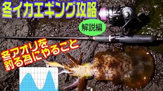 冬イカエギング入門！初心者必見アオリイカが釣れる確率を上げ効率よく冬イカ攻略！ナイト、デイ、場所、水温、時間は？