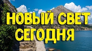 КРЫМ - НОВЫЙ СВЕТ 2019
