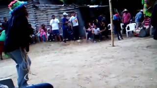 san antonio abad y su inicio alas fiesta d la virgen del transito