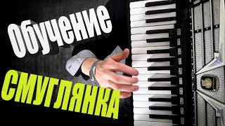 Смуглянка Обучение  на аккордеоне уроки для Начинающих | для новичков