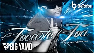 Big Yamo Ft. Calle 13 - Tocarte Toa [UnOficial Remix]