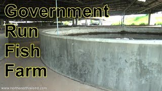 Government run fish farm in Sukhon Nakhon Thailand.